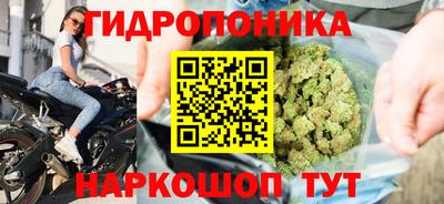 тгк Будённовск